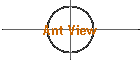 Ant View