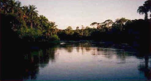 Kwilu River